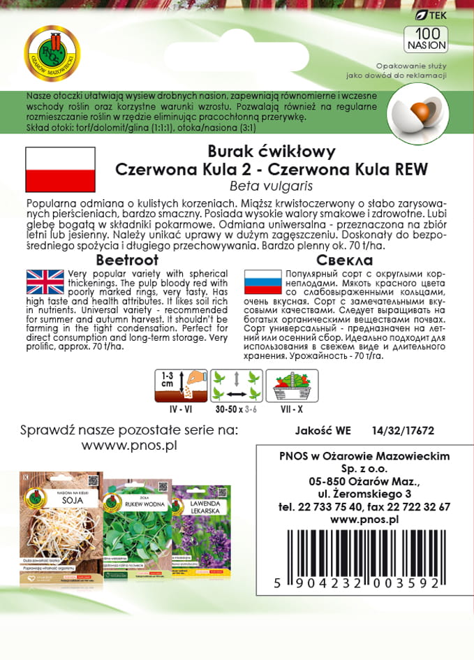 Burak ćwikłowy CZERWONA KULA 2 - CZERWONA KULA REW 100z OT.