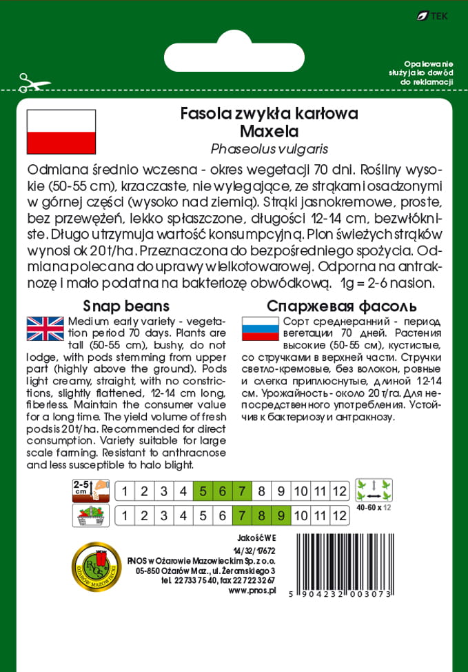 Fasola szparagowa. Żółta karłowa MAXELA 50g