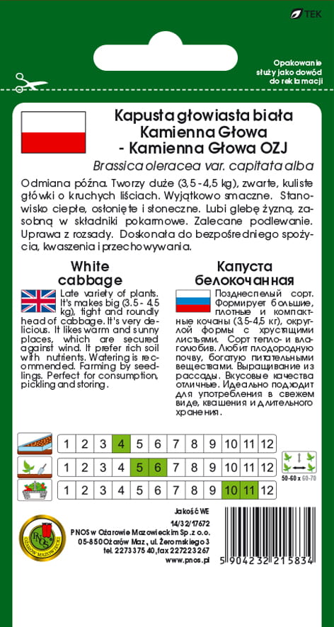 Kapusta głowiasta biała KAMIENNA GŁOWA - KAMIENNA GŁOWA OZJ 2g