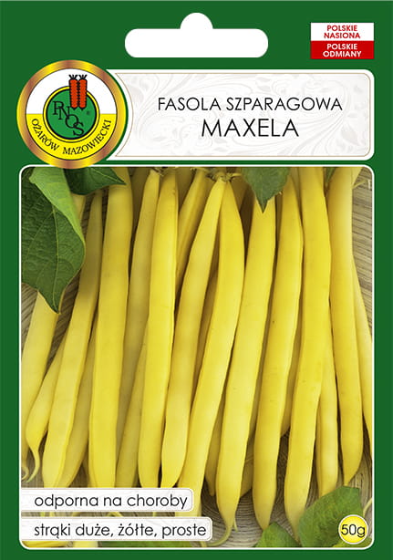 Fasola szparagowa. Żółta karłowa MAXELA 50g