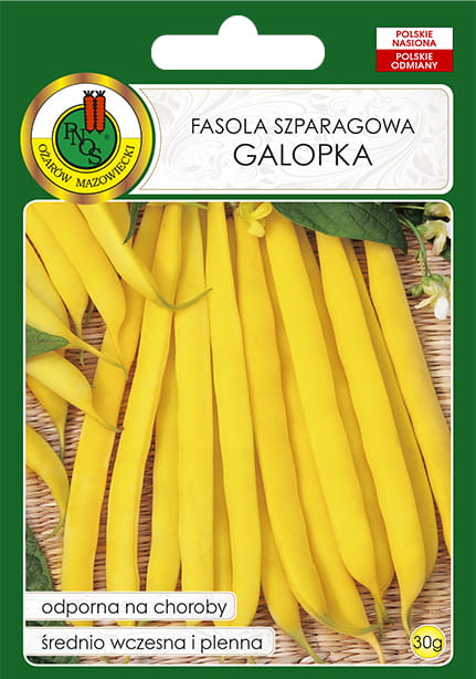 Fasola szparagowa. Żółta karłowa GALOPKA 30g
