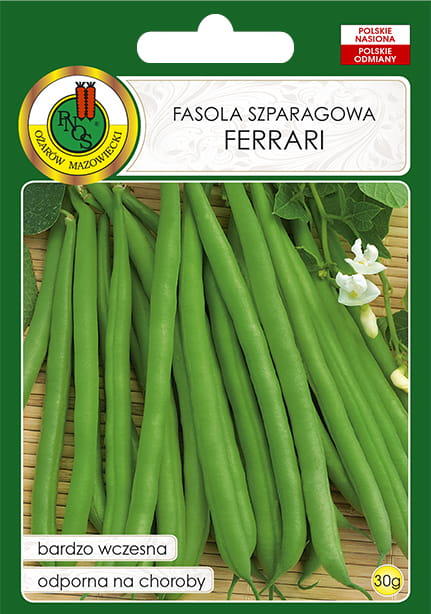 Fasola szparagowa. Zielona karłowa FERRARI 30g
