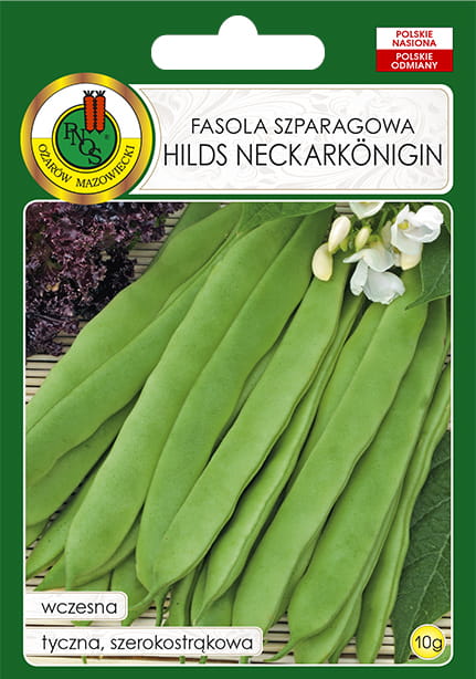 Fasola szparagowa zielona tyczna HILDS NECKARKONIGIN 10g