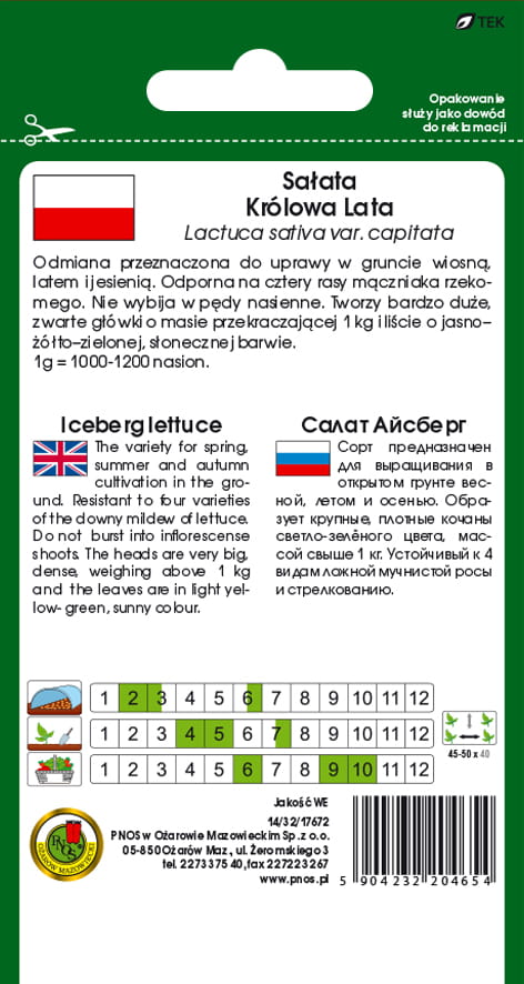 Sałata głowiasta krucha KRÓLOWA LATA 1g