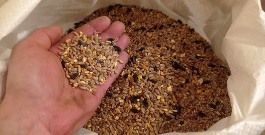 Wild bird seed ALL SEASONS MIX