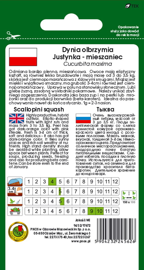 Dynia olbrzymia JUSTYNKA F1 2g