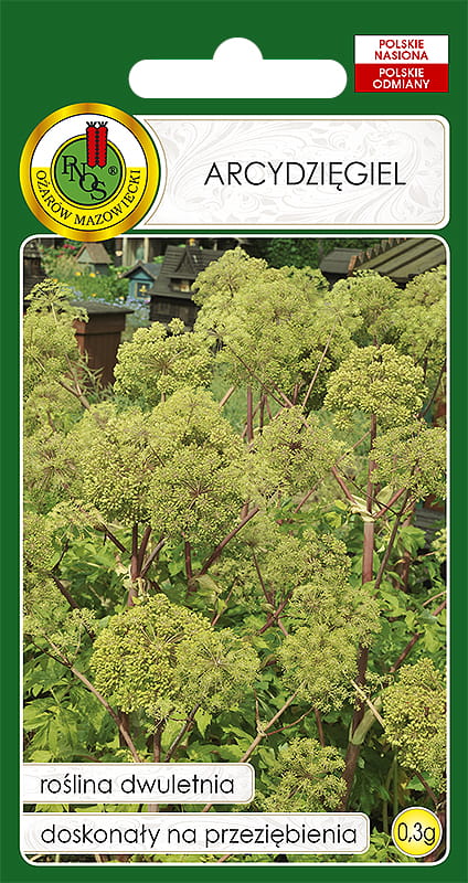 Arcydzięgiel 0,3g
