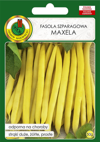 Fasola szparagowa. Żółta karłowa MAXELA 50g