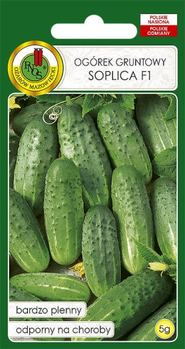 Ogórek gruntowy SOPLICA F1 5g
