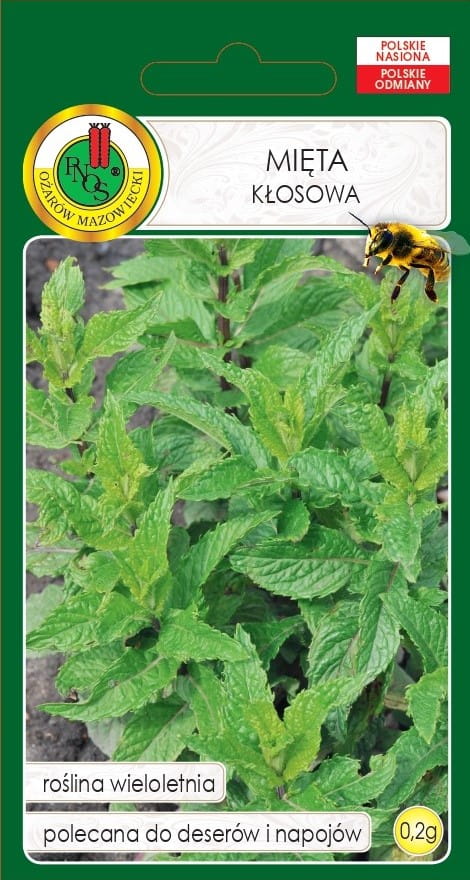 Mięta kłosowa 0,2g