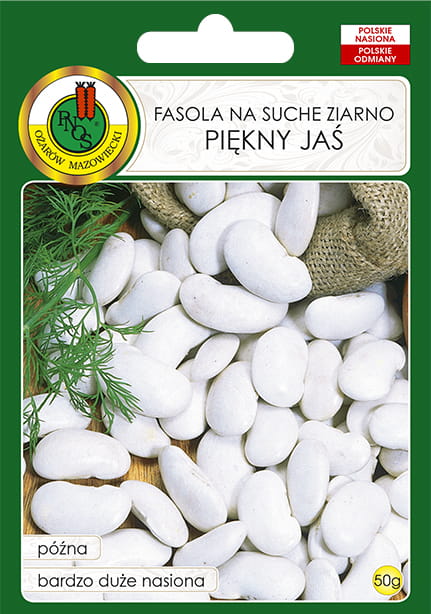 Fasola na suche nasiona PIĘKNY JAŚ 50g