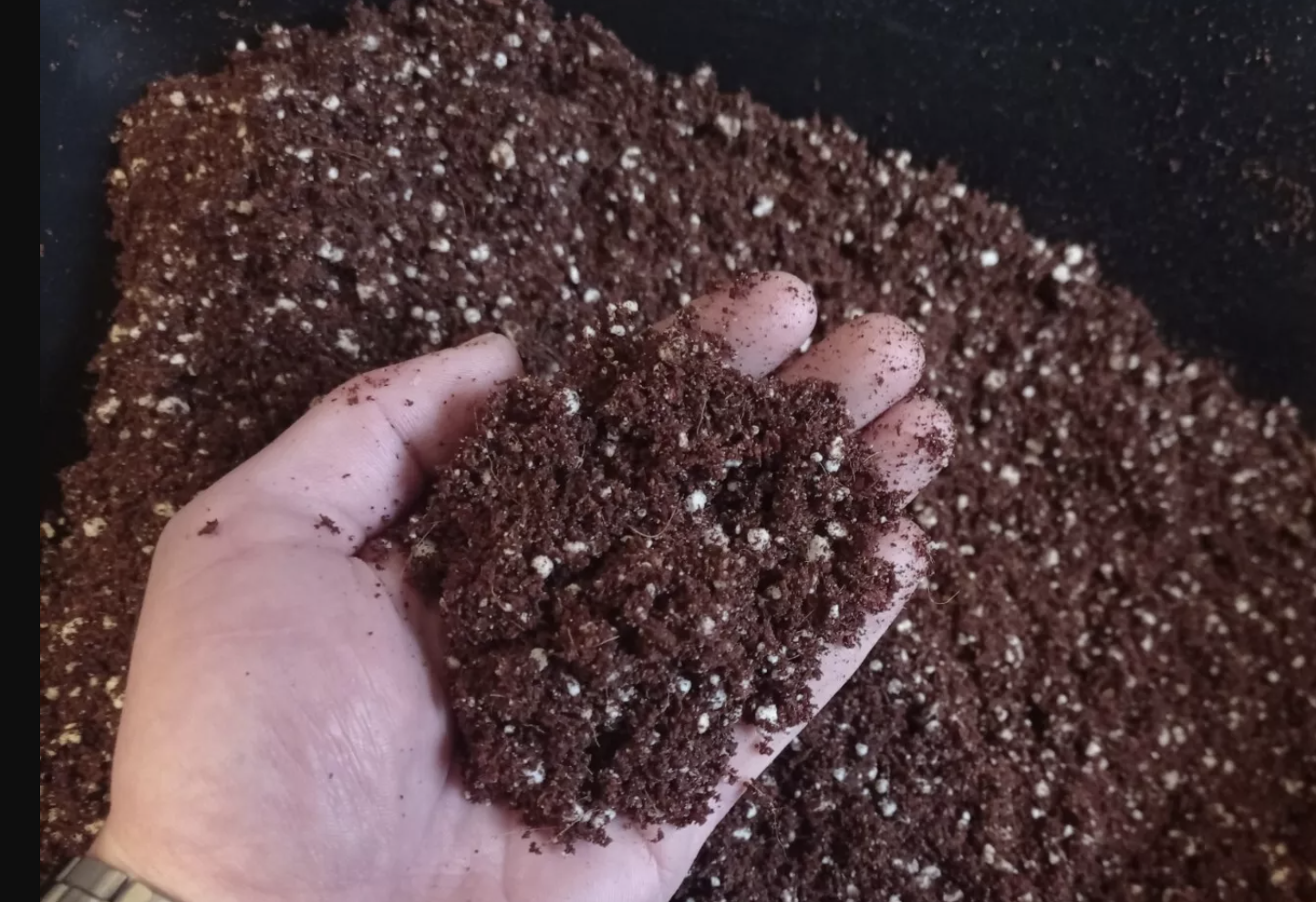 Podłoże do wysiewu nasion/seed sowing medium
